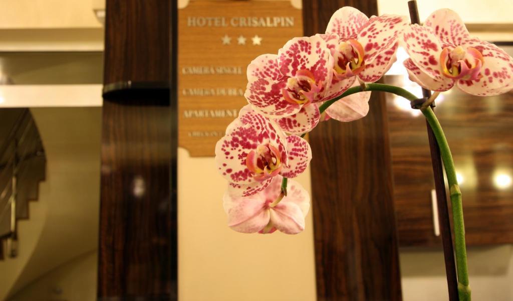 Hotel Crisalpin Пояна Брашов Екстериор снимка
